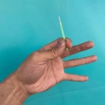 つばさ鍼灸院/坐骨神経痛、美容鍼、偏頭痛、うつ病改善